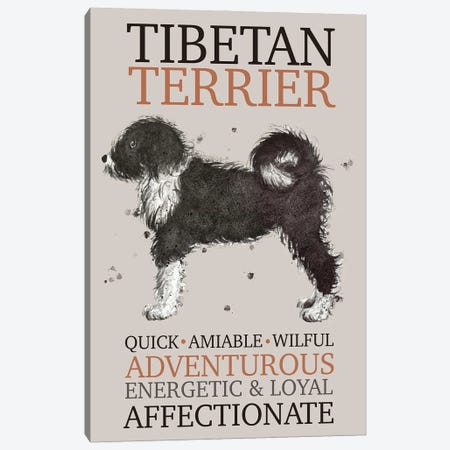Tibetan Terrier Dog Characteristics Canvas Print #MCE76} by Michelle Campbell Art Print