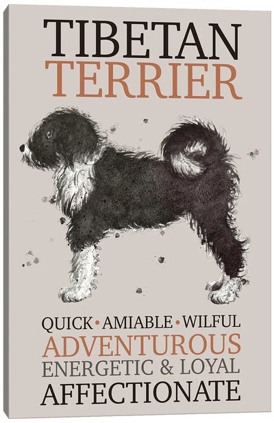 Tibetan Terrier Dog Characteristics Canvas Art Print