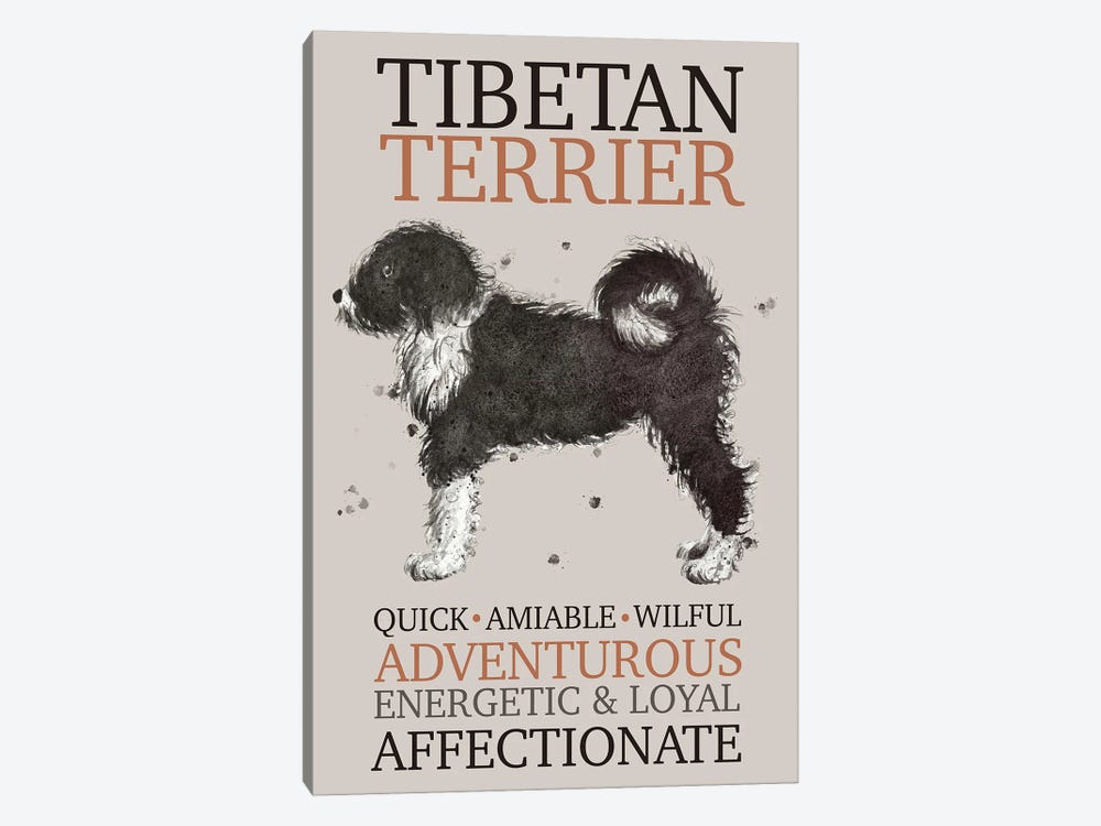 Tibetan Terrier Dog Characteristics by Michelle Campbell 1-piece Canvas Artwork