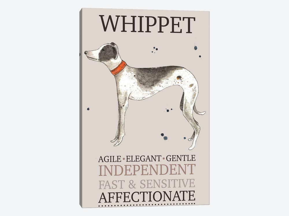 Whippet Dog Characteristics by Michelle Campbell 1-piece Art Print