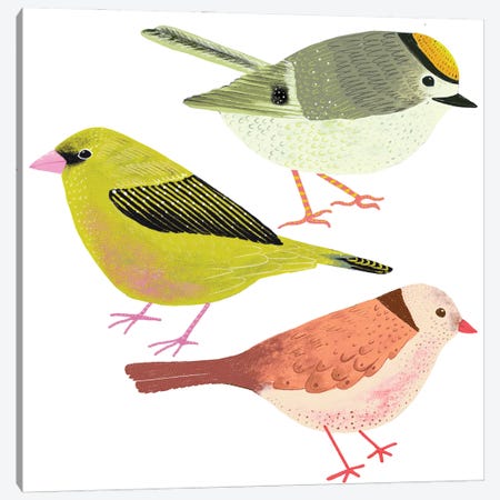 Colourful Folk Birds Canvas Print #MCE78} by Michelle Campbell Canvas Art