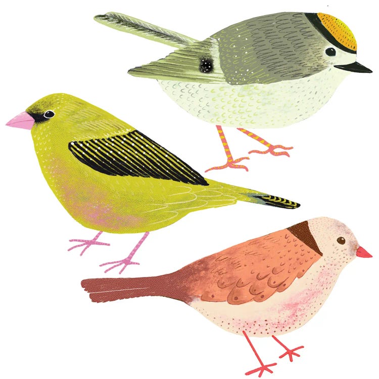 Colourful Folk Birds by Michelle Campbell wall art