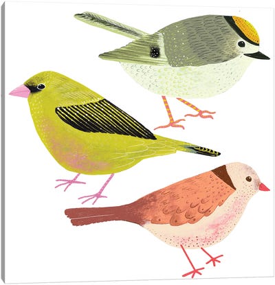 Colourful Folk Birds Canvas Art Print - Michelle Campbell
