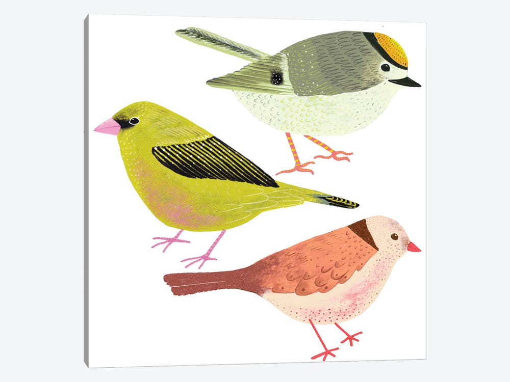 Colourful Folk Birds by Michelle Campbell 1-piece Canvas Artwork