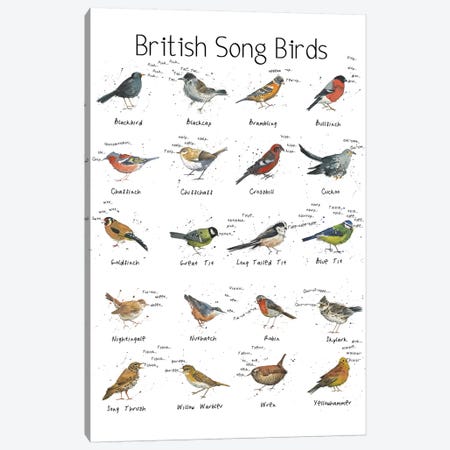 British Song Birds Canvas Print #MCE7} by Michelle Campbell Art Print