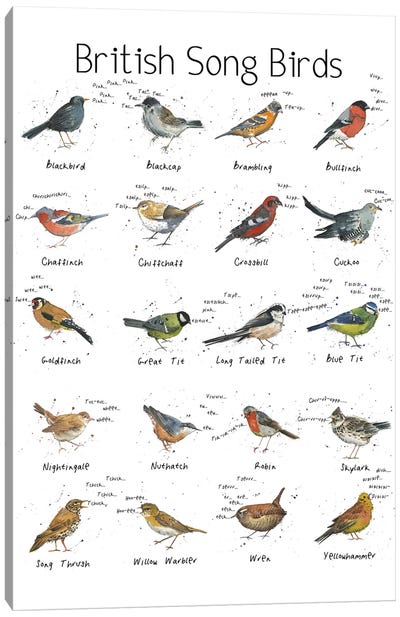 British Song Birds Canvas Art Print - Michelle Campbell