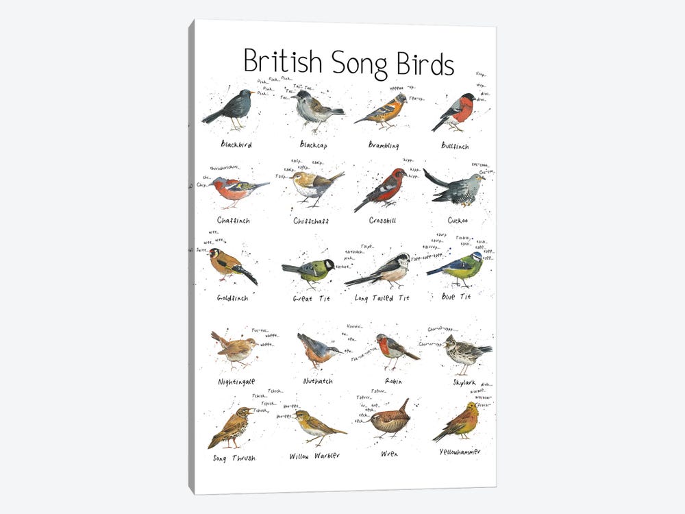 British Song Birds by Michelle Campbell 1-piece Canvas Art