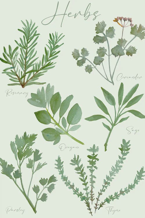 Herbs Chart