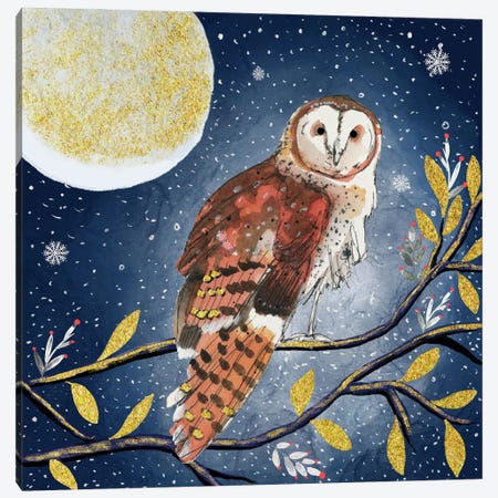 Night Owl Canvas Print #MCE82} by Michelle Campbell Canvas Print