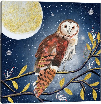 Night Owl Canvas Art Print - Snow Art