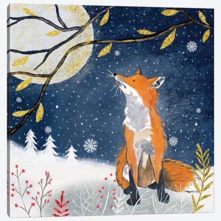 Night Fox Canvas Print #MCE83} by Michelle Campbell Canvas Art Print