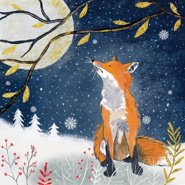 Michelle Campbell: Night Fox by Michelle Campbell
