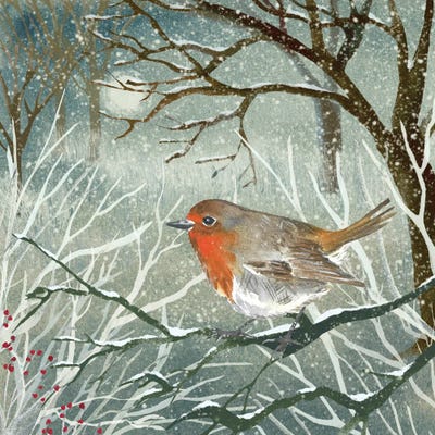 Winter Robin