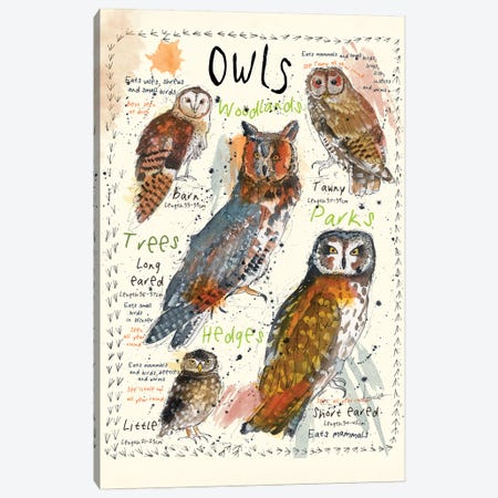Owls Canvas Print #MCE9} by Michelle Campbell Canvas Wall Art