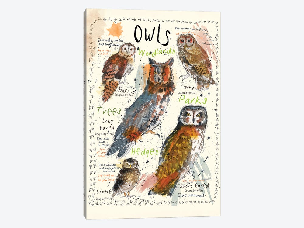 Owls by Michelle Campbell 1-piece Canvas Wall Art
