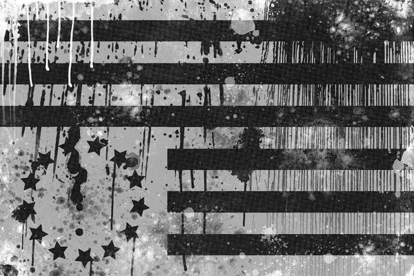 US Flags: Expression with Philosophy by 5by5collective