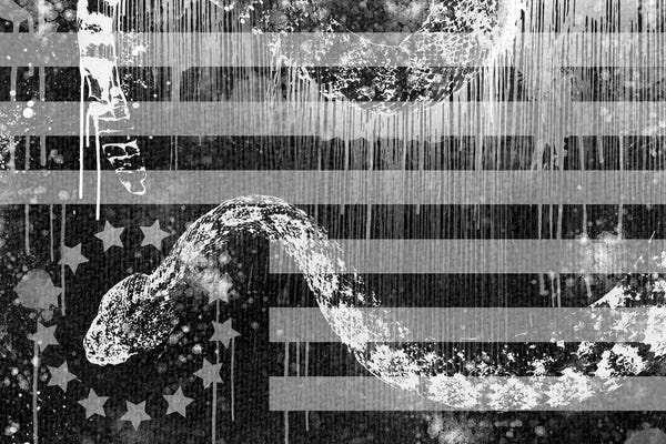 US Flags: Surface of Desire by 5by5collective