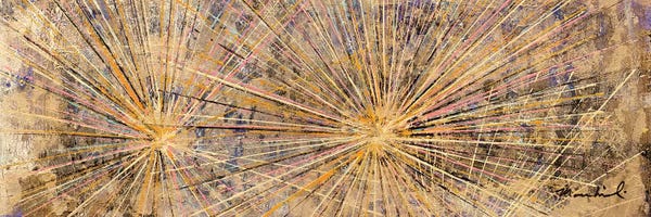 Abstract Expressionism: Silver Cholla by Macchiaroli