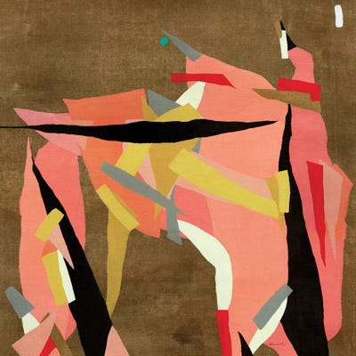 Toro by Macchiaroli framed canvas print