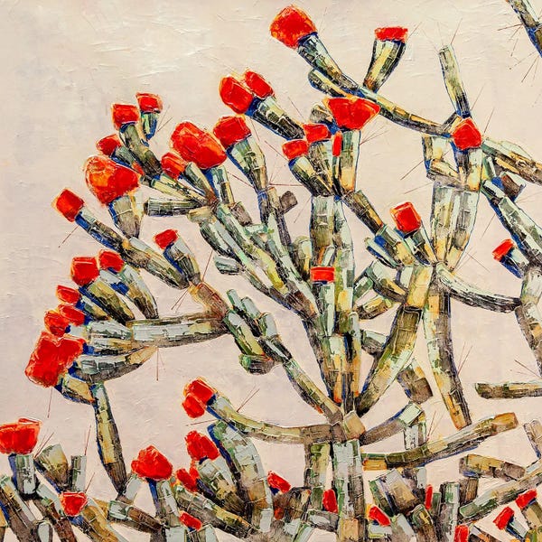 Blossoms: Arancia by Macchiaroli