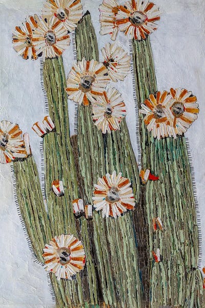 Blossoms: Celebutante by Macchiaroli