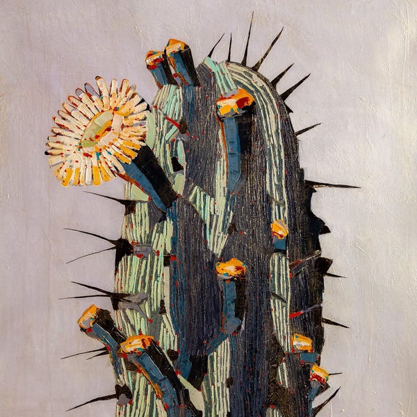 Blossoms: Day Breaks by Macchiaroli