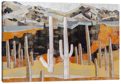Oro Valley Canvas Art Print - Succulent Art