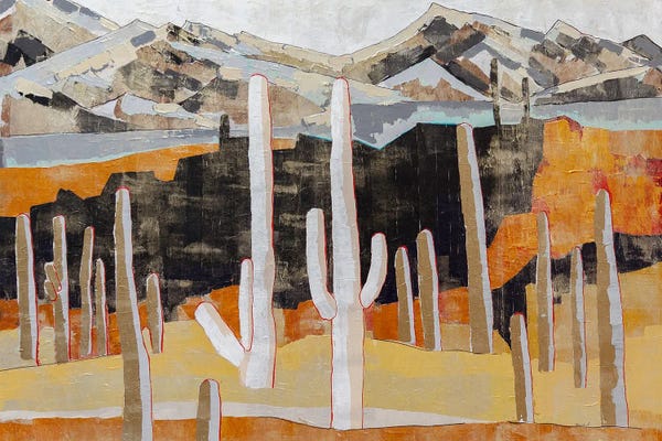 Arizona: Oro Valley by Macchiaroli