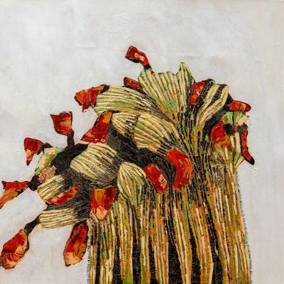 Spellbound by Macchiaroli framed canvas print