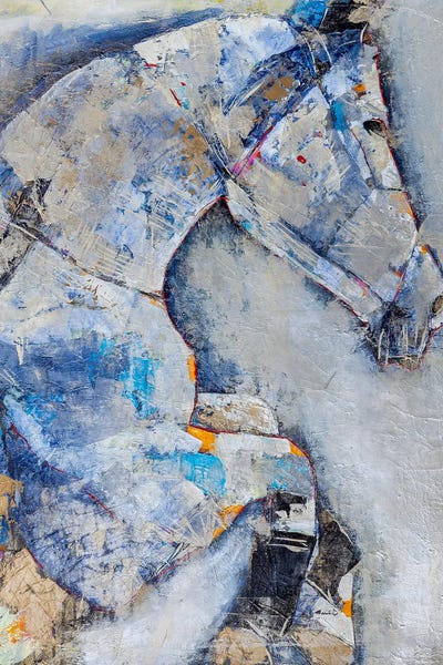 Steel Horse by Macchiaroli framed canvas print