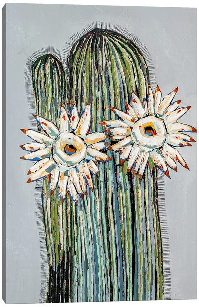 Tuscan Bloom Canvas Art Print - Tucson Art