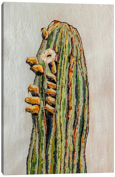 Bloom Canvas Art Print - Cactus Art