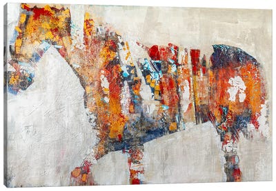 Equestria Canvas Art Print - Abstract Art