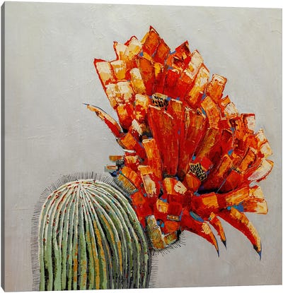 Explosion Canvas Art Print - Cactus Art