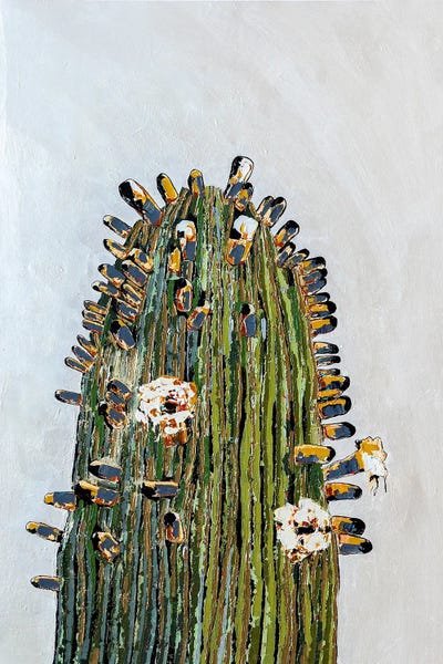 Blossoms: Noir by Macchiaroli