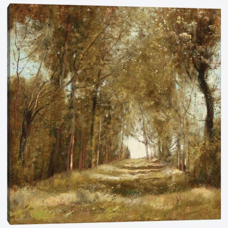 Shaded Path I Canvas Print #MCK18} by Christy McKee Canvas Artwork
