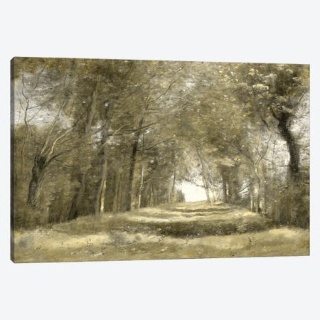 Shaded Path II Canvas Print #MCK19} by Christy McKee Canvas Artwork