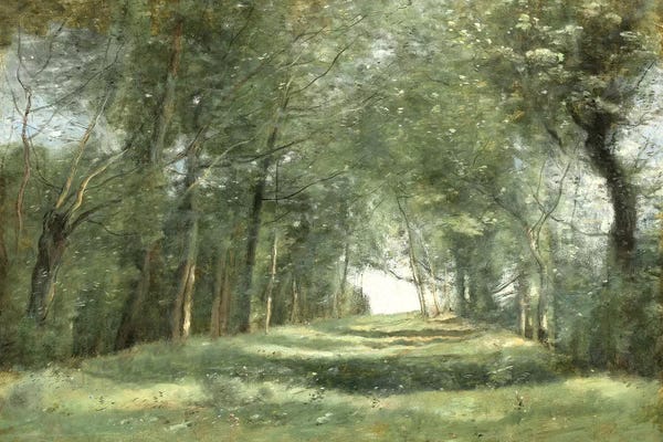 Christy McKee: Shaded Path III by Christy McKee