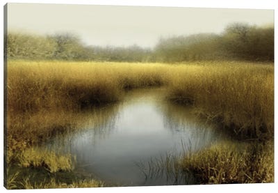 Tranquil Pond Canvas Art Print