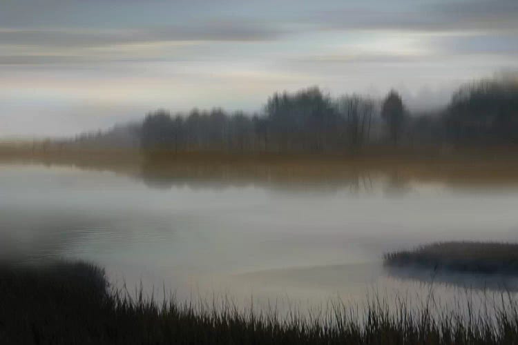 Dawn by Madeline Clark wall art