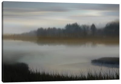 Dawn Canvas Art Print - Marsh & Swamp Art