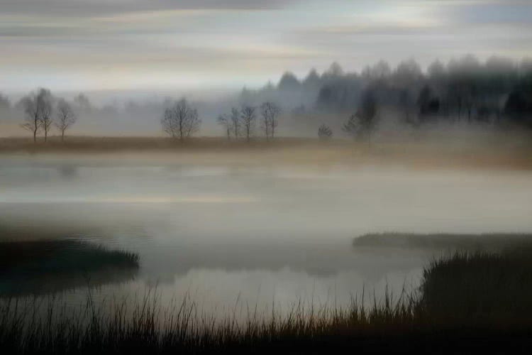 Early Morning by Madeline Clark wall art