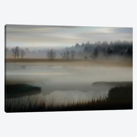 Early Morning Canvas Print #MCL12} by Madeline Clark Art Print