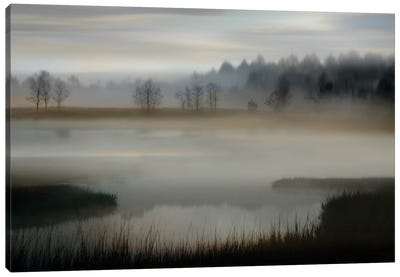 Early Morning Canvas Art Print - Marsh & Swamp Art