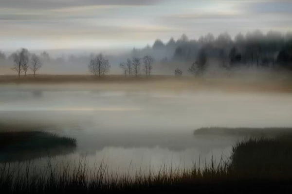 Early Morning
