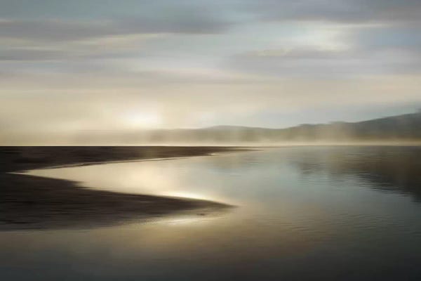 Marshes & Swamps: First Light by Madeline Clark