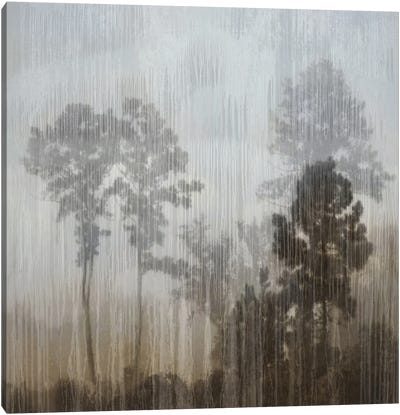 At Dawn I Canvas Art Print - Rain Inspired