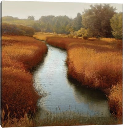 Sunlit Pond I Canvas Art Print