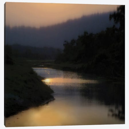 Sunlit River Canvas Print #MCL9} by Madeline Clark Canvas Print