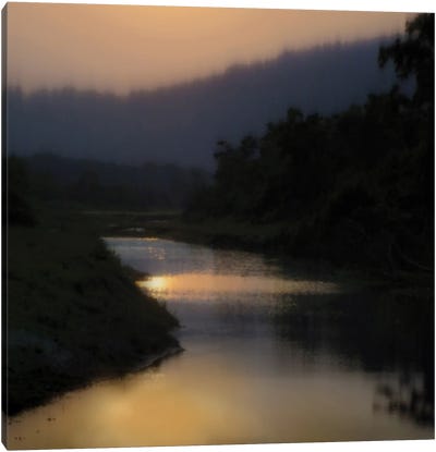 Sunlit River Canvas Art Print